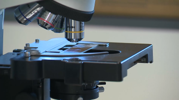 Cancro colorretal: Há um novo mecanismo de “escape” imunitário