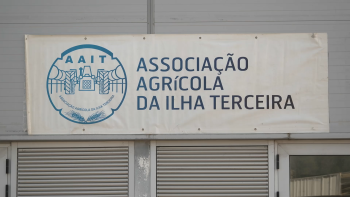 Dia do Sócio da AAIT: Preço do leite preocupa lavoura terceirense