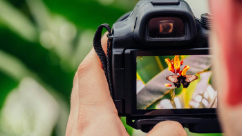 Imagem de Ilha das Flores assinala o Dia Mundial da Fotografia