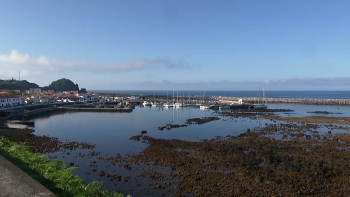 Imagem de Pescadores das Lajes do Pico queixam-se das condições de trabalho no porto