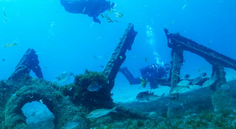 Imagem de EcoRoute: Criadas novas condições para descoberta do Património Subaquático do Pico e Faial