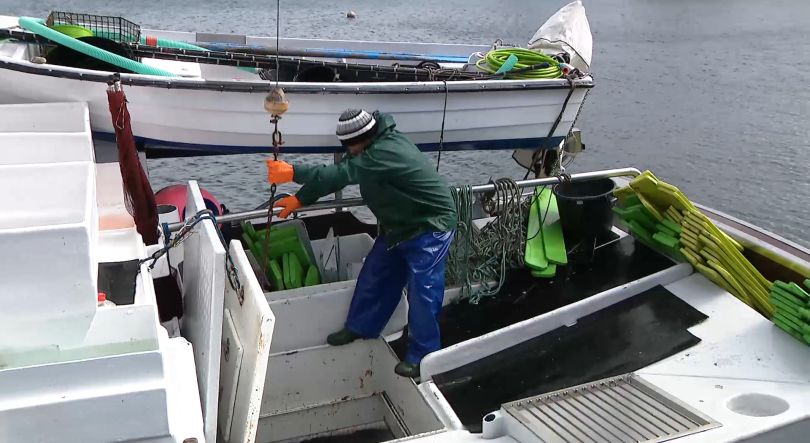 Pesca do atum-patudo reabriu hoje nos Açores e Madeira