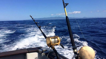 Azores Big Game Fishing cancelado por falta de apoios