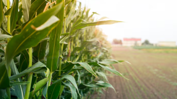 Subida expressiva do gasóleo provoca intenso desagrado da Federação Agrícola