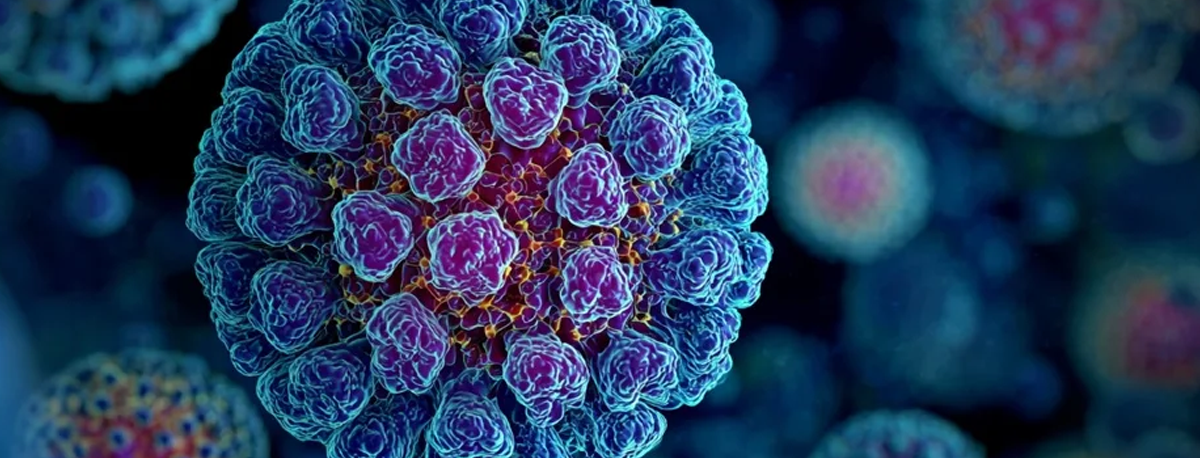 Imagem de Norovírus estará na origem de surto de gastroenterite