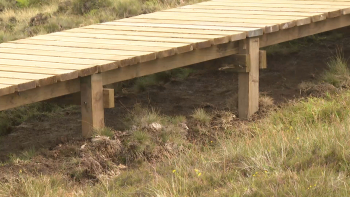 Imagem de Trilho Graminhais – Pico da Vara renovado com novo passadiço no Nordeste