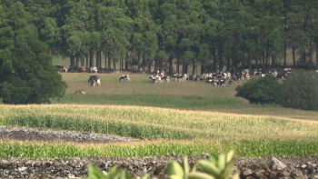 Aumento dos combustíveis preocupa agricultores, pescadores e empresários