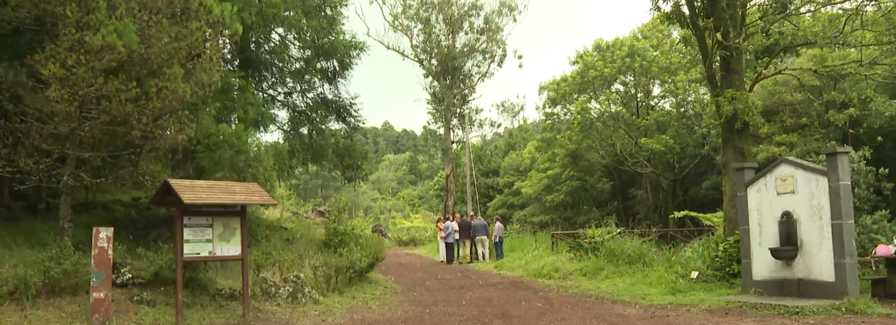Imagem de Governo pondera cobrar entrada aos turistas para as 27 reservas florestais de recreio