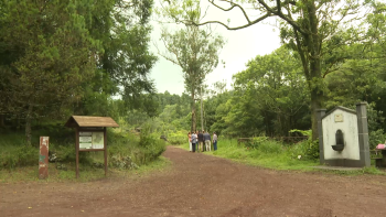 Imagem de Governo pondera cobrar entrada aos turistas para as 27 reservas florestais de recreio