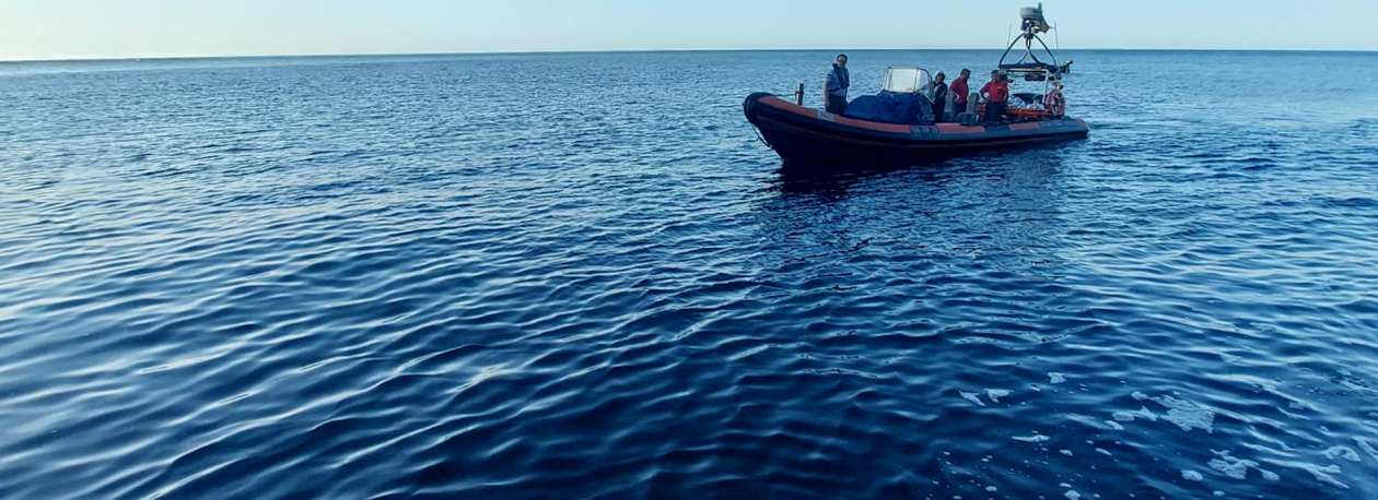 Imagem de Resgatado pescador lúdico em zona escarpada na ilha de Santa Maria