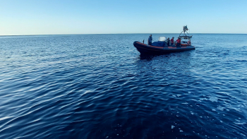 Resgatado pescador lúdico em zona escarpada na ilha de Santa Maria
