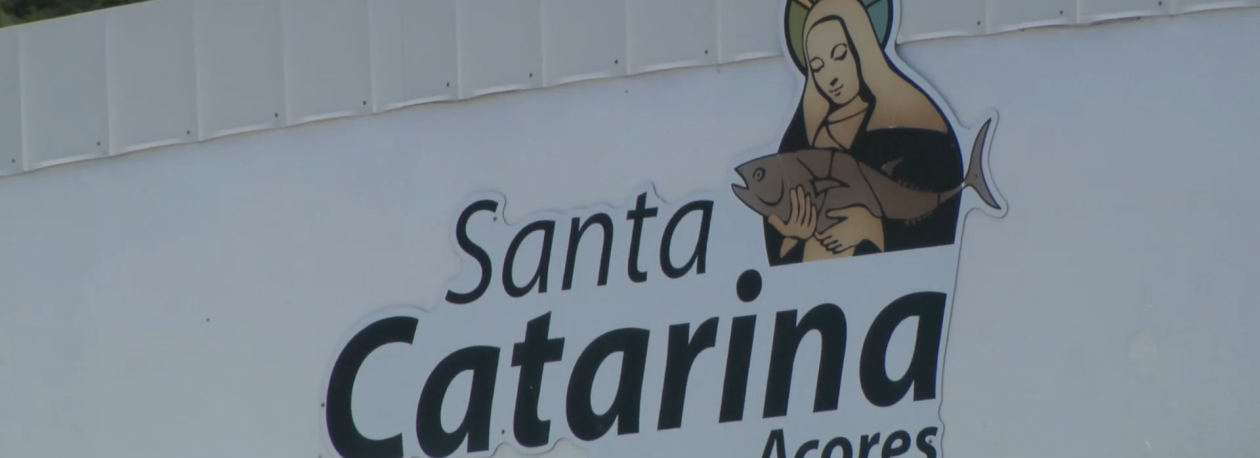Imagem de Atum Bonito: Foram pescadas menos 5 mil toneladas este ano