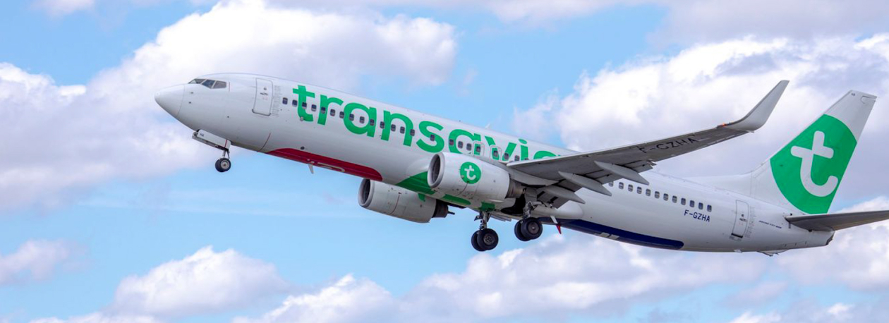 Imagem de Transavia inaugura rota entre Ponta Delgada e Bruxelas no verão de 2027