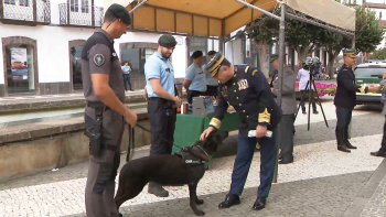 GNR: Comando Territorial dos Açores comemora 141 anos