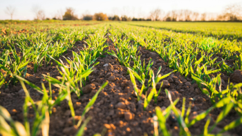 Dia da Agricultura Biológica: Cooperativa Bio Azórica apresenta projetos inovadores