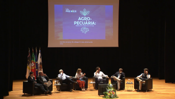 Federação Agrícola dos Açores defende modernização do setor Agropecuário