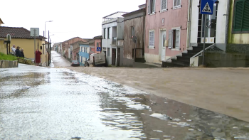 Bacia hidrográfica Arrifes: Câmara de Ponta Delgada vai adquirir terrenos