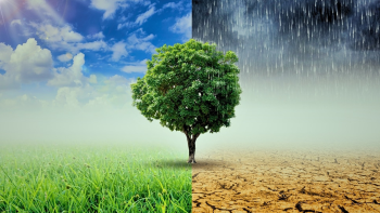 Imagem de Resiliência climática e governação nos territórios insulares em discussão na ilha Terceira
