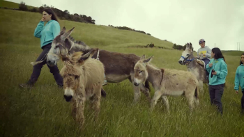 Filme ‘Graciosa, Inteligência Natural’ estreia na ilha para promover o património