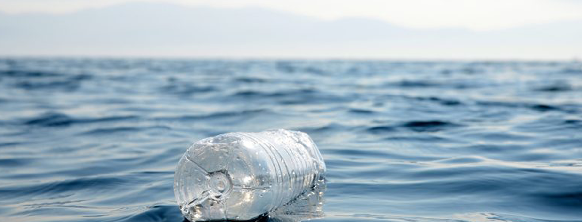 Imagem de Dia Limpeza Costeira: 122 toneladas de lixo marinho recolhidas na última década