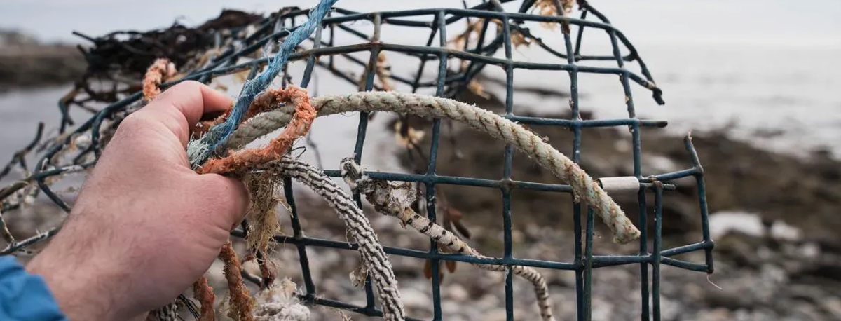 Imagem de Lixo marinho dos EUA e Canadá chega aos Açores décadas depois