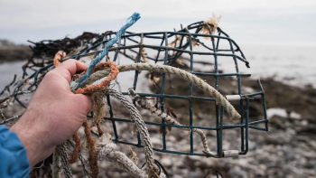 Imagem de Lixo marinho dos EUA e Canadá chega aos Açores décadas depois