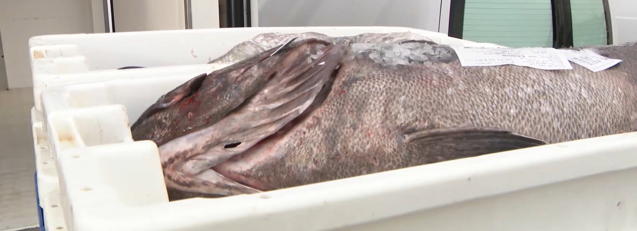 Imagem de Governo em Tribunal: Associação dos Comerciante de Pescado avança com ação cautelar