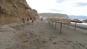Limpeza costeira Ribeira Grande: Iniciativa alerta para combate ao lixo marinho