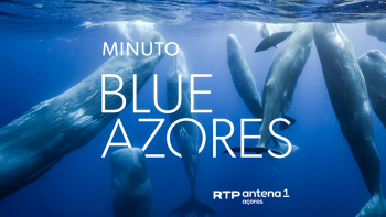 Imagem de Minuto Blue Azores