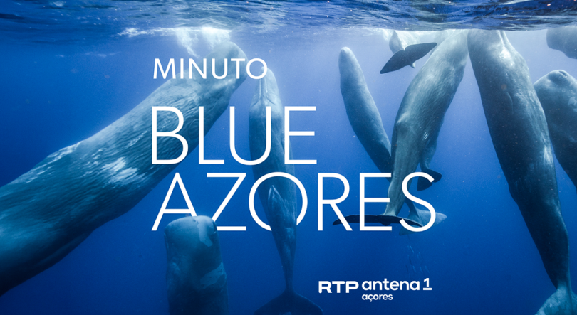 Minuto Blue Azores