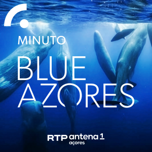 Imagem de Minuto Blue Azores