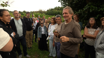 Divulgado sistema de produção de agricultura sintrópica