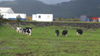 Federação Agrícola reivindica pagamento de 23 milhões de euros em atraso