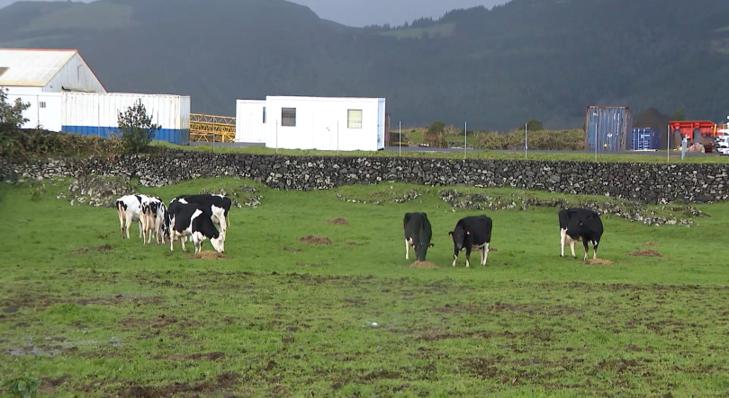 Federação Agrícola reivindica pagamento de 23 milhões de euros em atraso