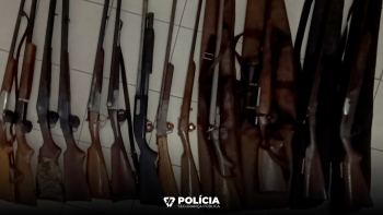 PSP apreende 13 armas nas Velas por falta de licença