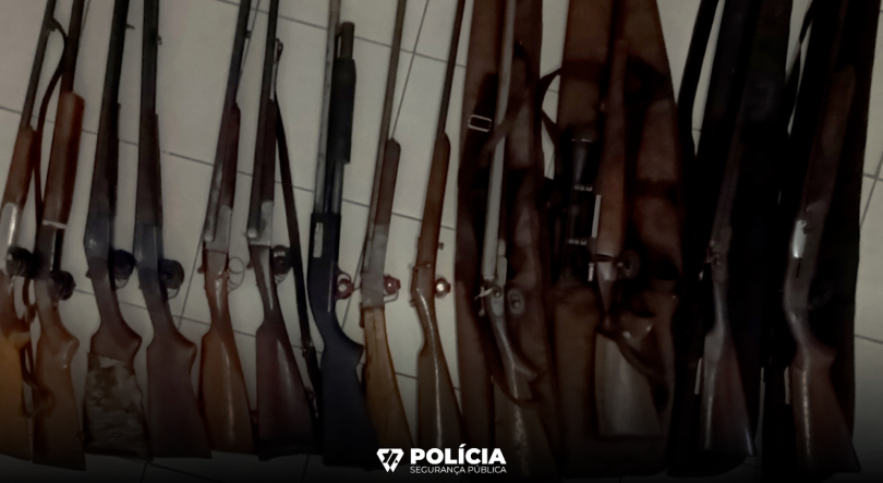 PSP apreende 13 armas nas Velas por falta de licença