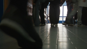 Bullying nos Açores 2024-2025: Casos aumentaram, mais escolas reportaram