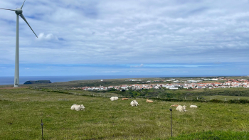 Produção de energia renovável nos Açores reforçada com novos aerogeradores em Santa Maria