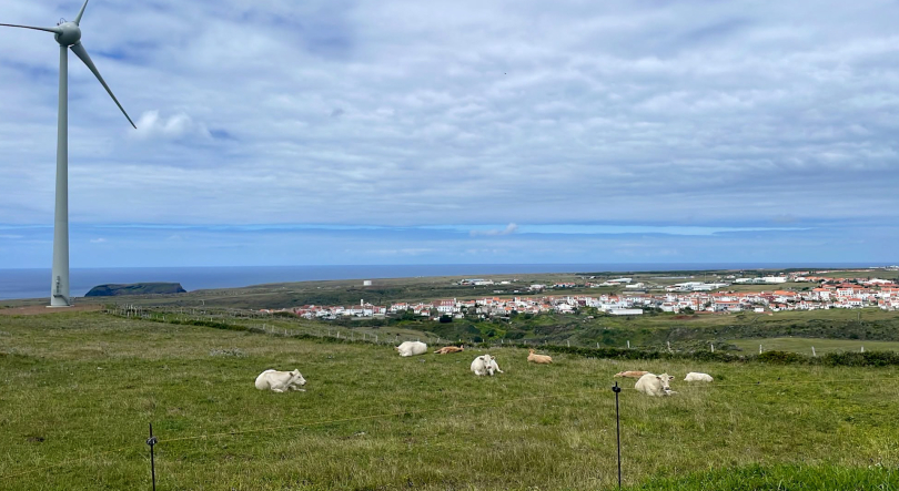 Produção de energia renovável nos Açores reforçada com novos aerogeradores em Santa Maria