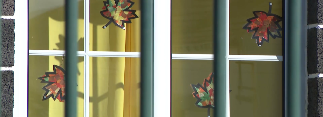 Imagem de EB1/JI Tavares Canário: Aluno foi operado devido a infeção bacteriana