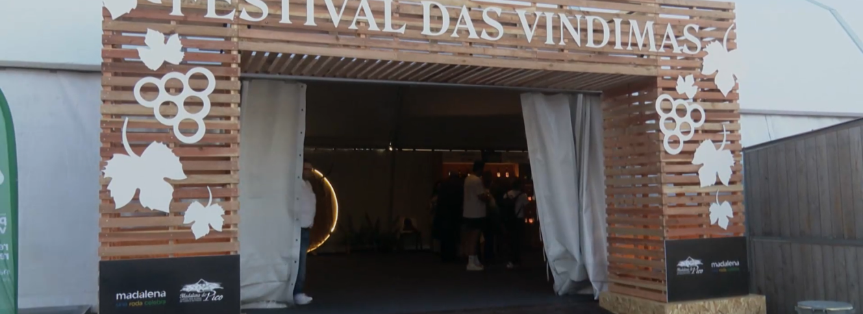 Imagem de Festival das Vindimas na ilha do Pico termina com Feira do Vinho