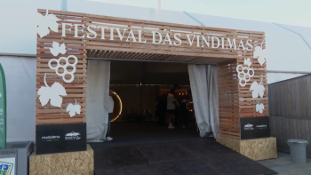 Festival das Vindimas na ilha do Pico termina com Feira do Vinho