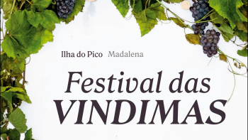 Imagem de Festival das Vindimas estreia-se na Madalena para valorizar vinhos e património do Pico