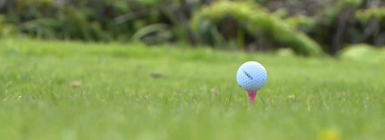Imagem de Privatização dos campos de golfe dos Açores não avança para já