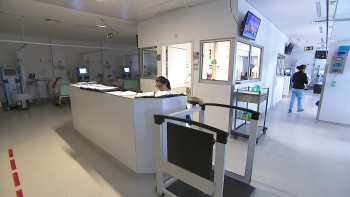Técnicos Diagnóstico Terapêutica: Greve paralisou vários serviços nos Açores