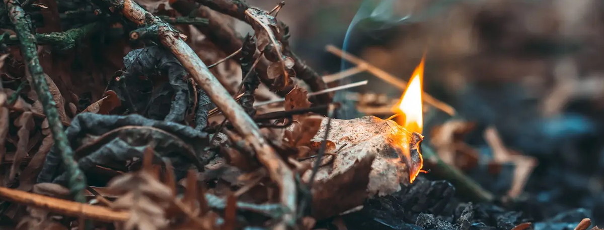 Imagem de Dois homens detidos pela prática de um crime de incêndio florestal