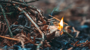 Dois homens detidos pela prática de um crime de incêndio florestal