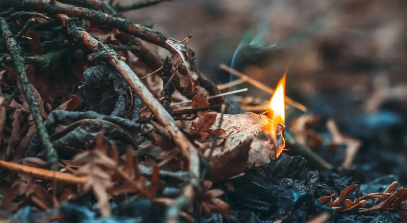 Dois homens detidos pela prática de um crime de incêndio florestal