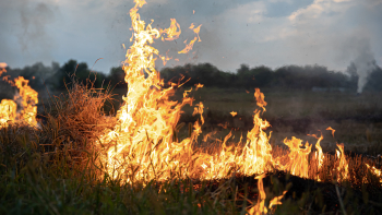 Detido homem por provocar incêndios na ilha das Flores