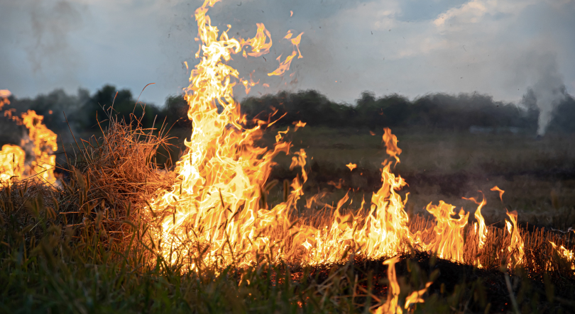 Detido homem por provocar incêndios na ilha das Flores
